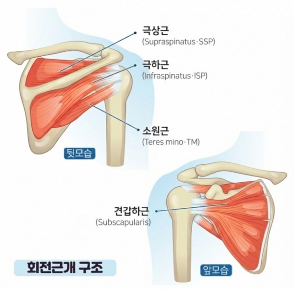f54a6-6a02dcd0696f8-02547abdf2e04b854d4d59c88ed880a0a0eac272.jpg
