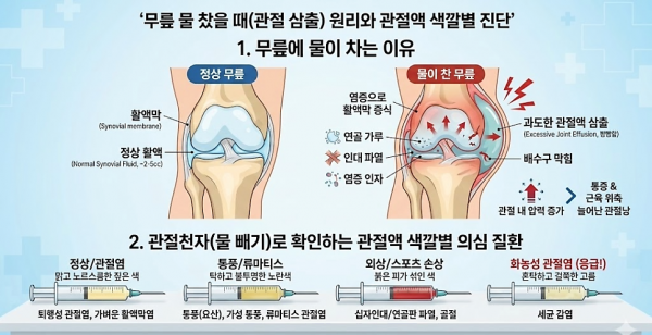 f54a6-6a7e888f74a89-41c9fe90fff37836bf2cbca181528173fa118c2b.png